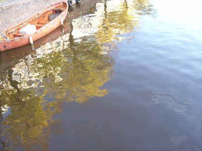 photograph of water in Amsterdam