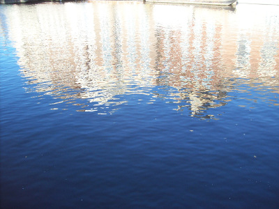 photograph of water in Amsterdam