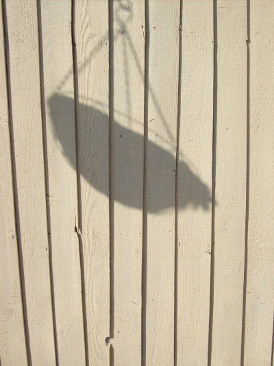 Photograph of a shadow of a hanging basket