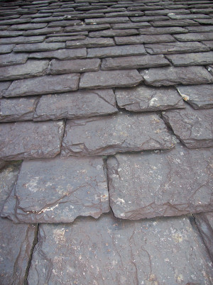 Photograph of some roof tiles