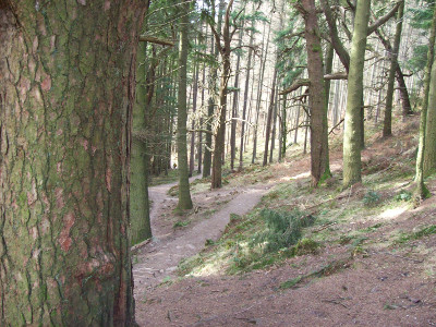 a photograph somewhere along the West Highland Way